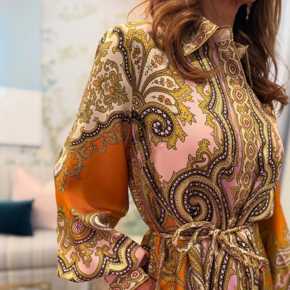 Alemais Clemenza Silk Shirtdress - Mult - Picture 8 of 16
